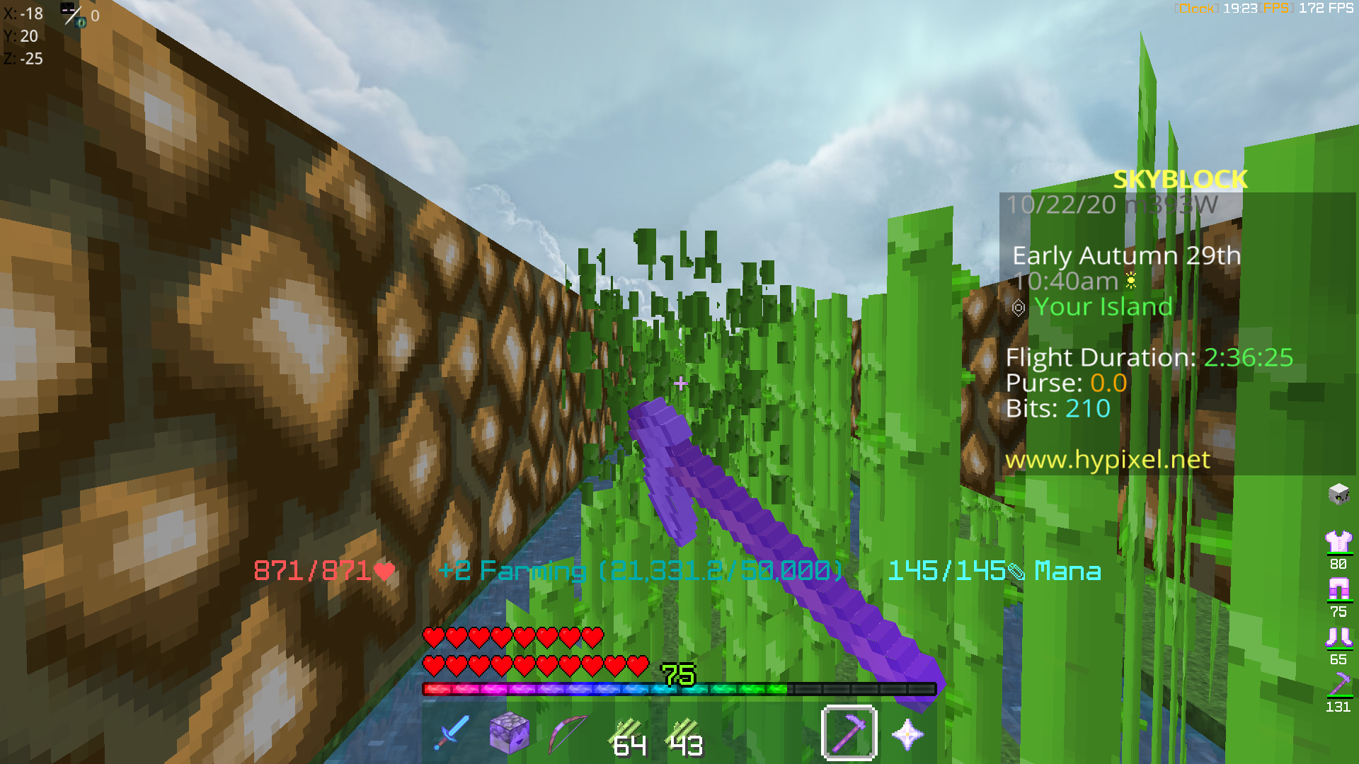 Sugar Can Particle Disable | Hypixel - Minecraft Server and Maps How To Turn Off Particles In Minecraft