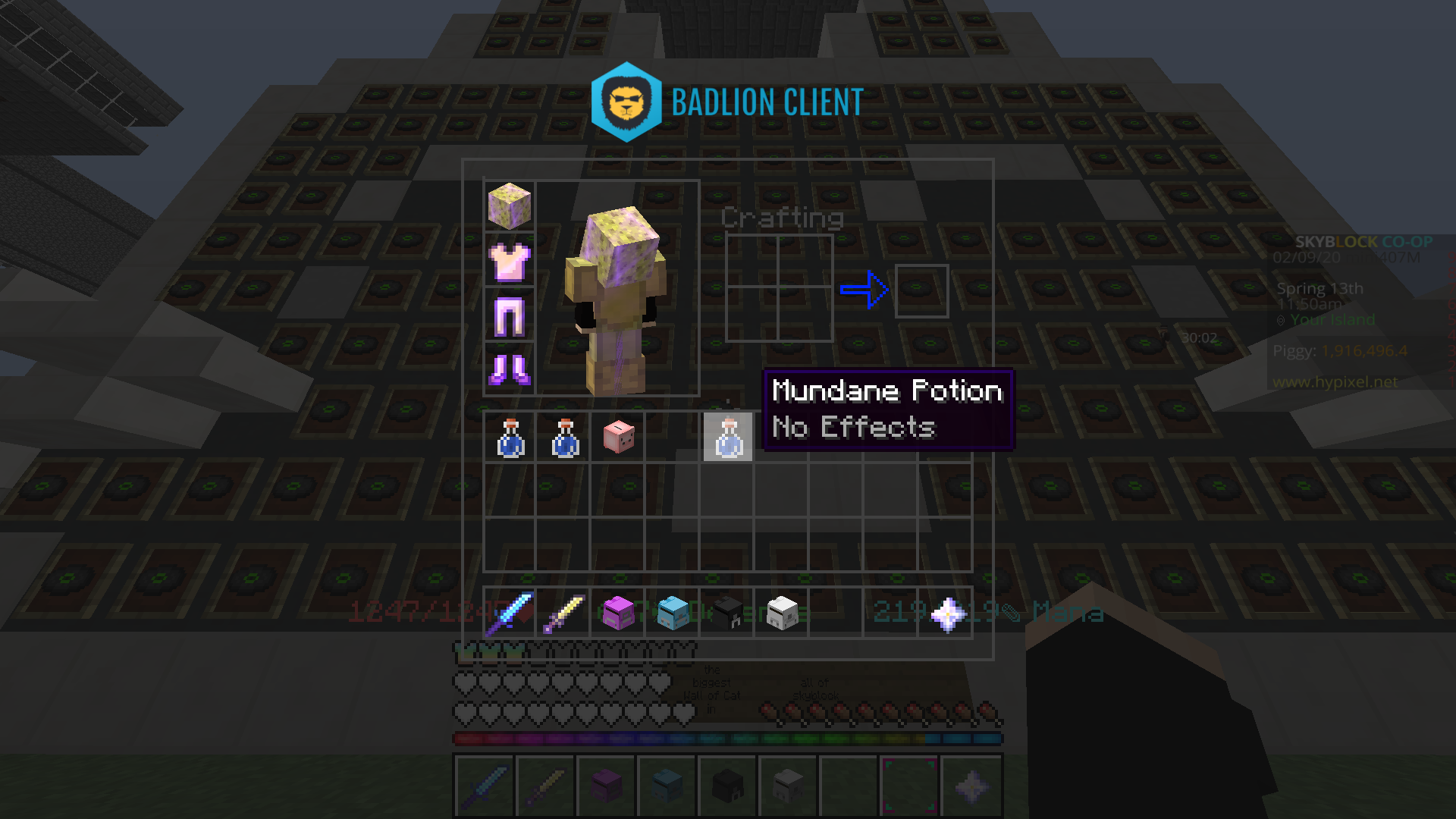 Mundane Potion Rare? Hypixel Minecraft Server and Maps